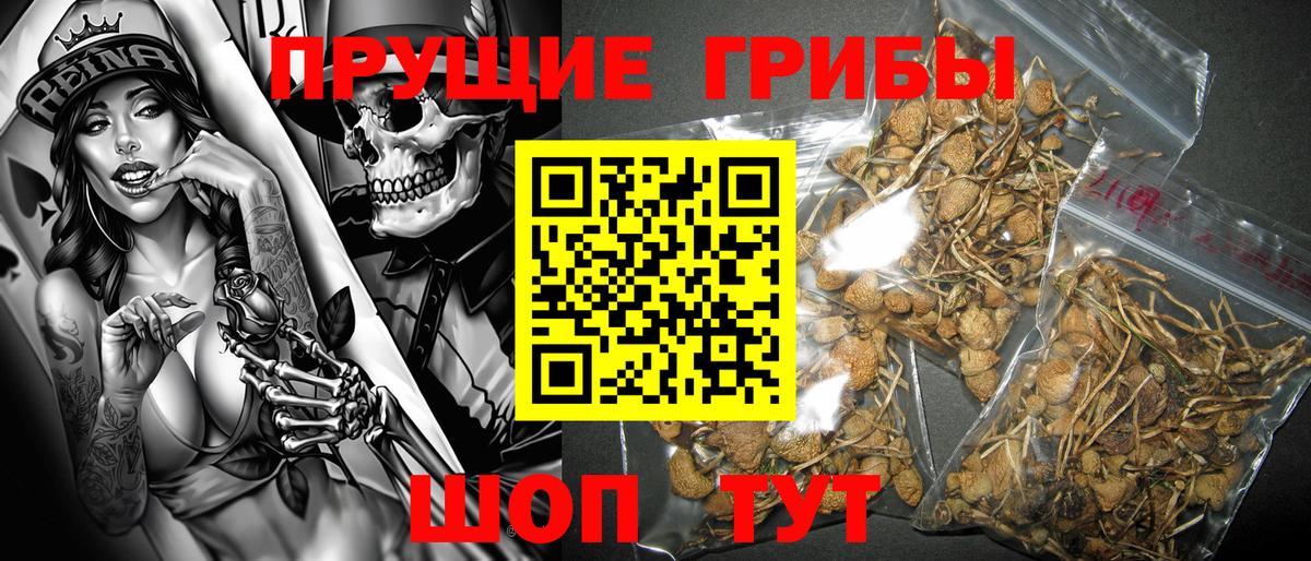 Псилоцибиновые грибы мицелий  Вход с VPN  как найти закладки  Саянск 